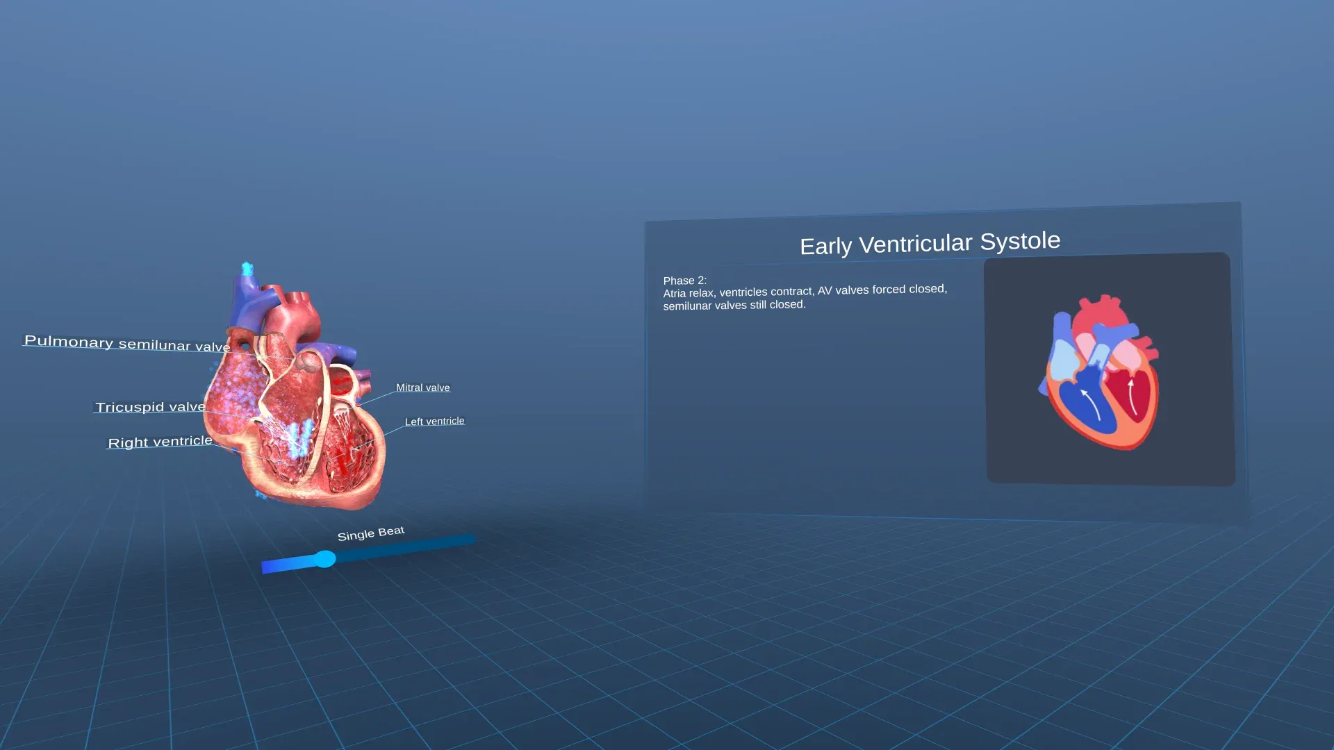 Sectioned 3D heart with labelled valves beside an early ventricular systole phase description panel