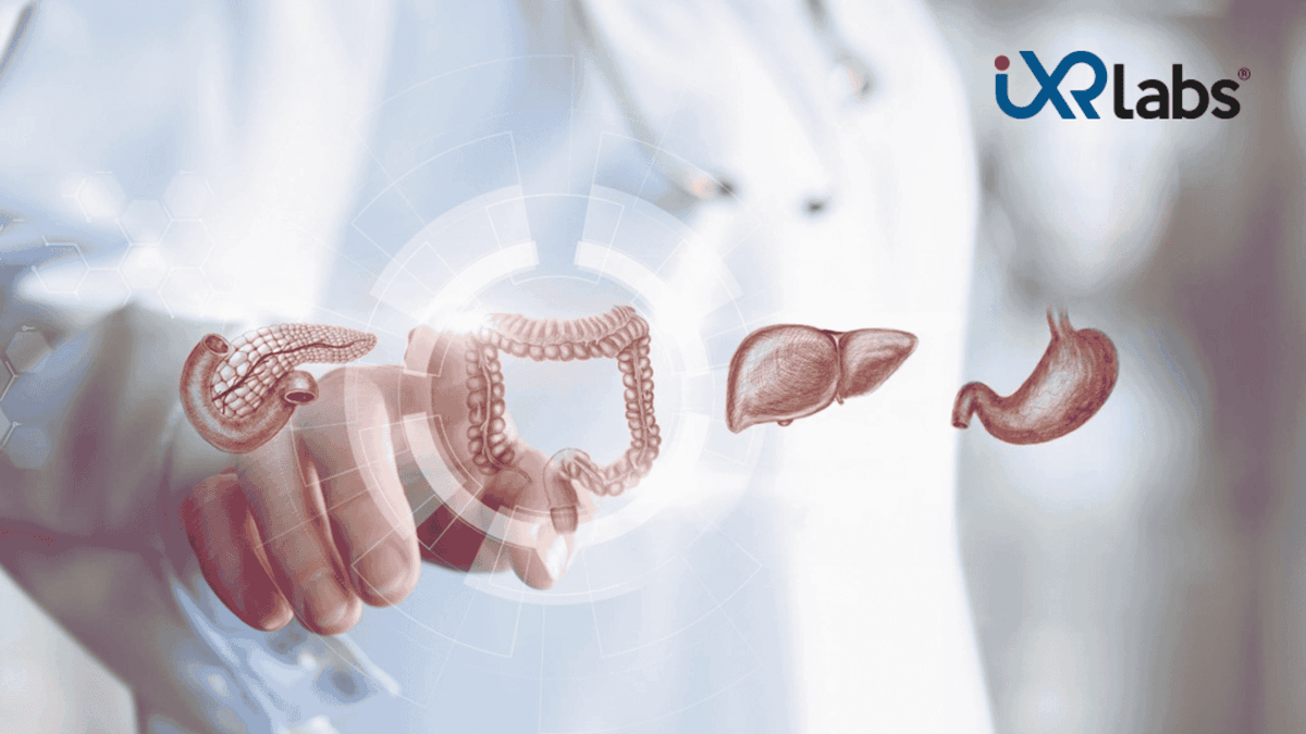 VR Digestive System