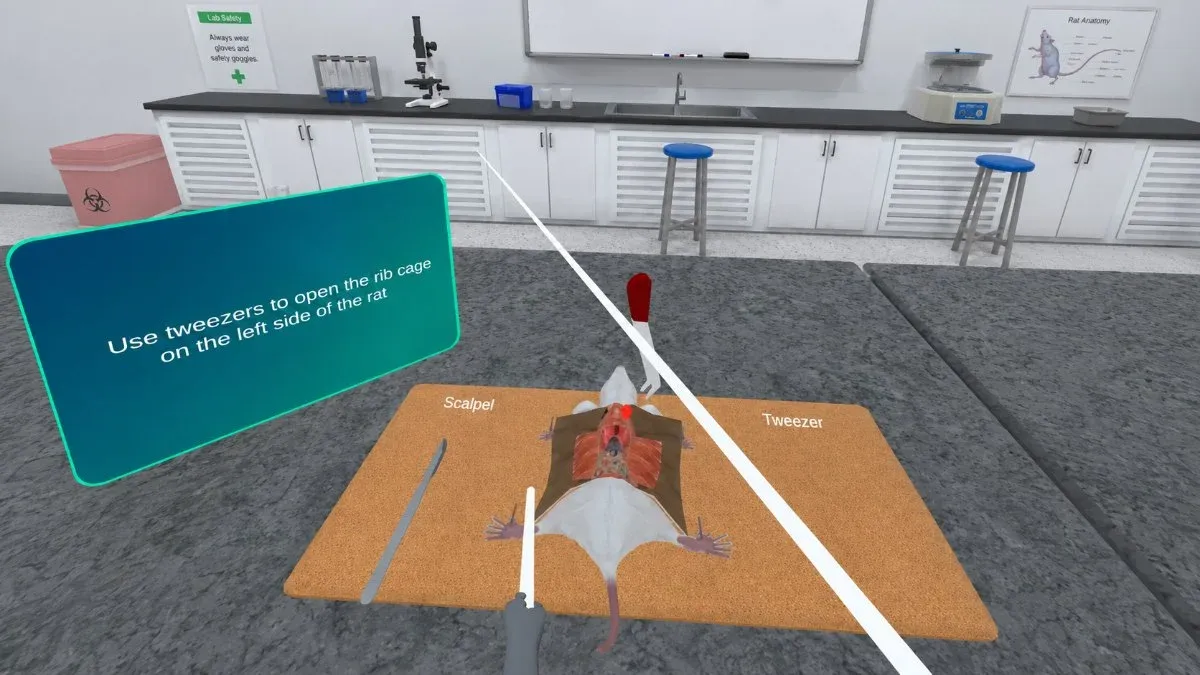 Dissected rat pinned to a tray with the body cavity opened and internal organs exposed in a lab